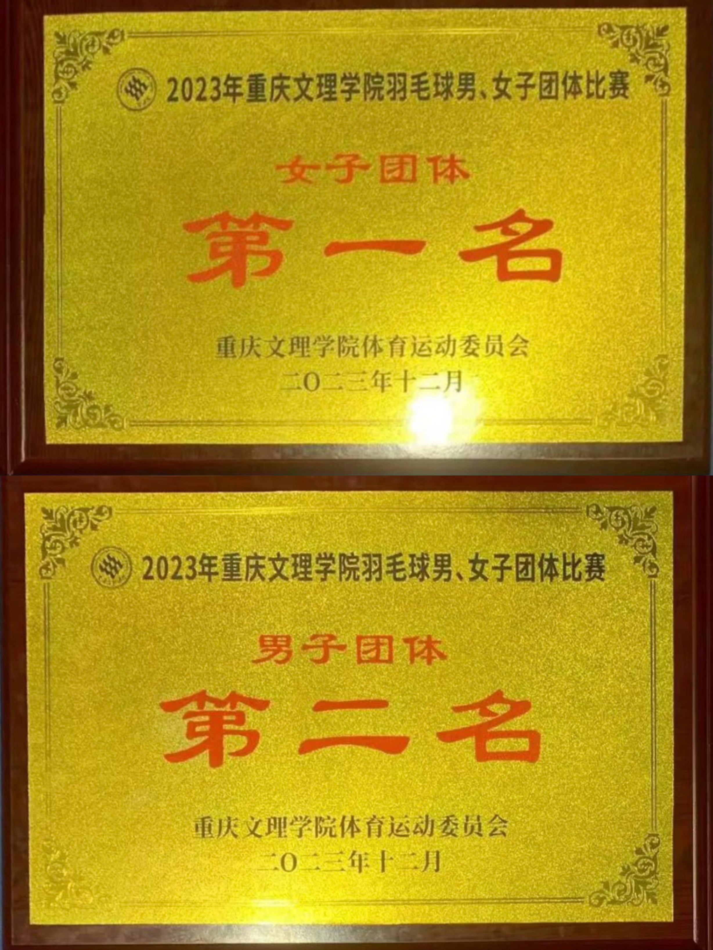 VcHt_1701689396756081638.png 20231202喜讯 公司学子在2023年“公司杯”羽毛球比赛中拿下第一名03.png