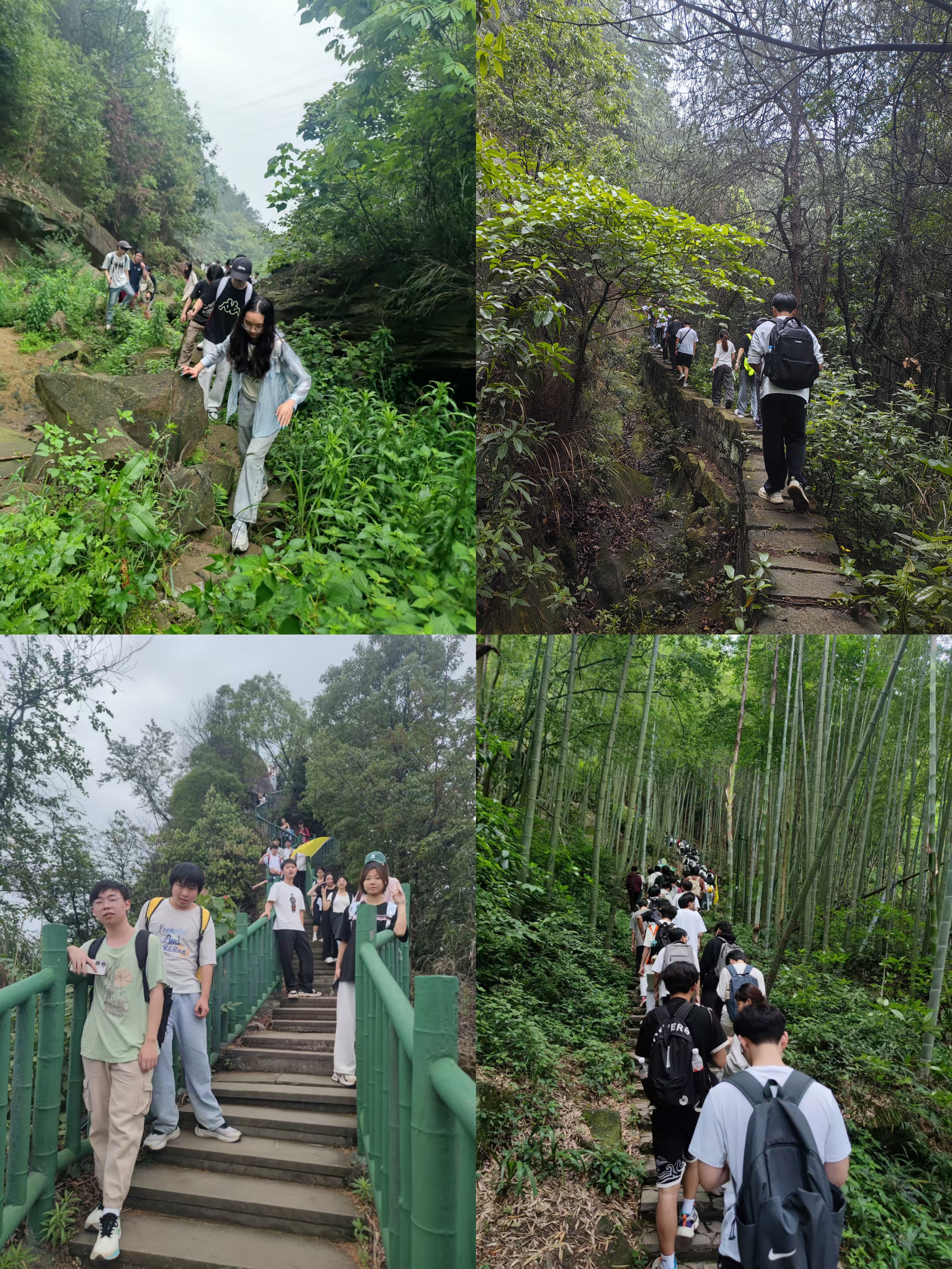 未命名.jpg