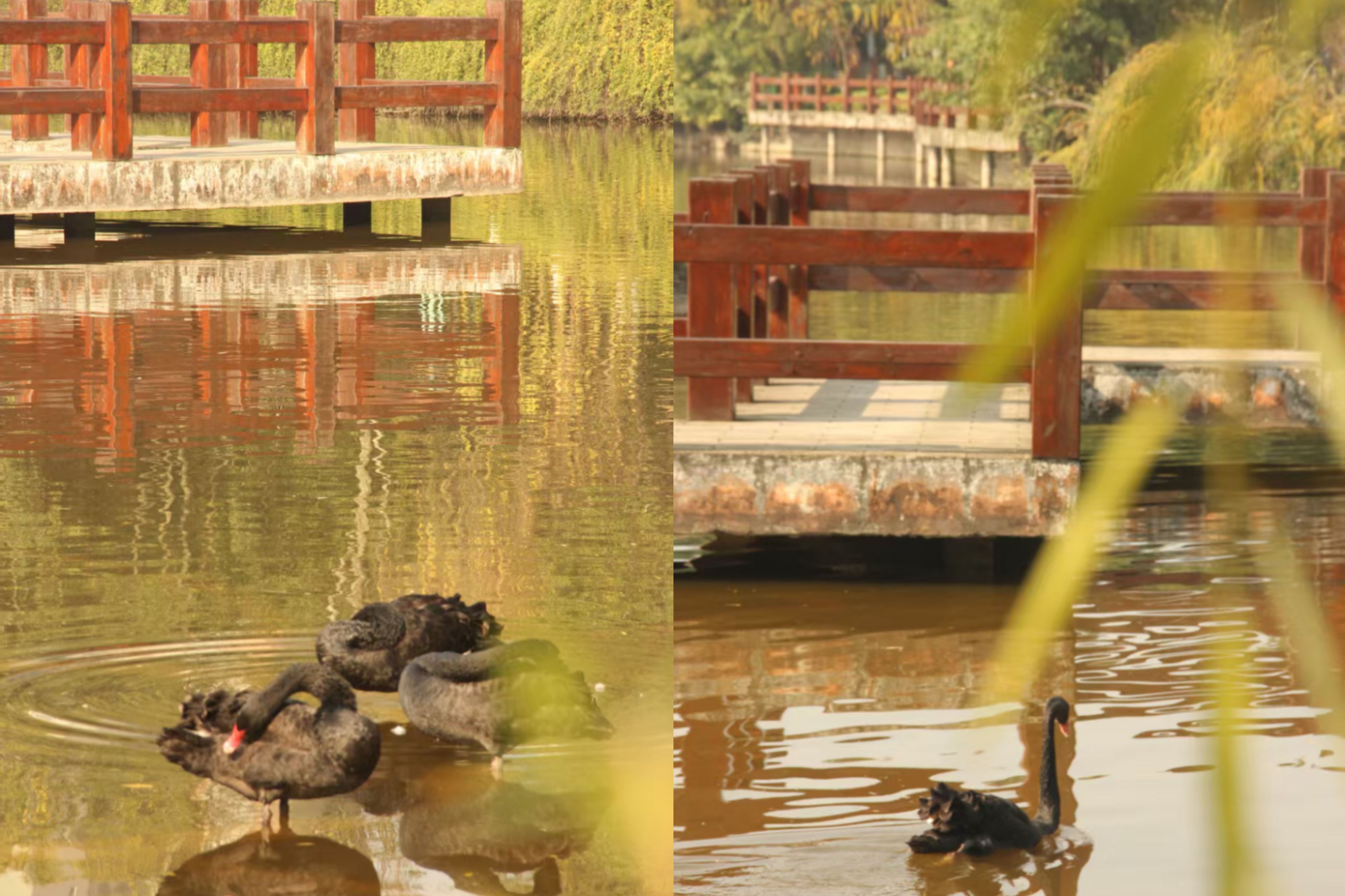 HLki_1780469404868018495.jpg MEITU_20260601_113542944.jpg